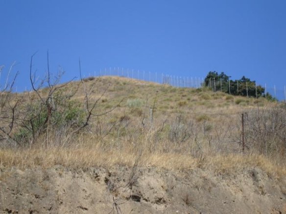 TERRENO URBANIZABLE EN MOTRIL