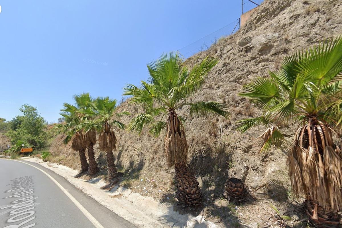 TERRENO URBANIZABLE EN MOTRIL