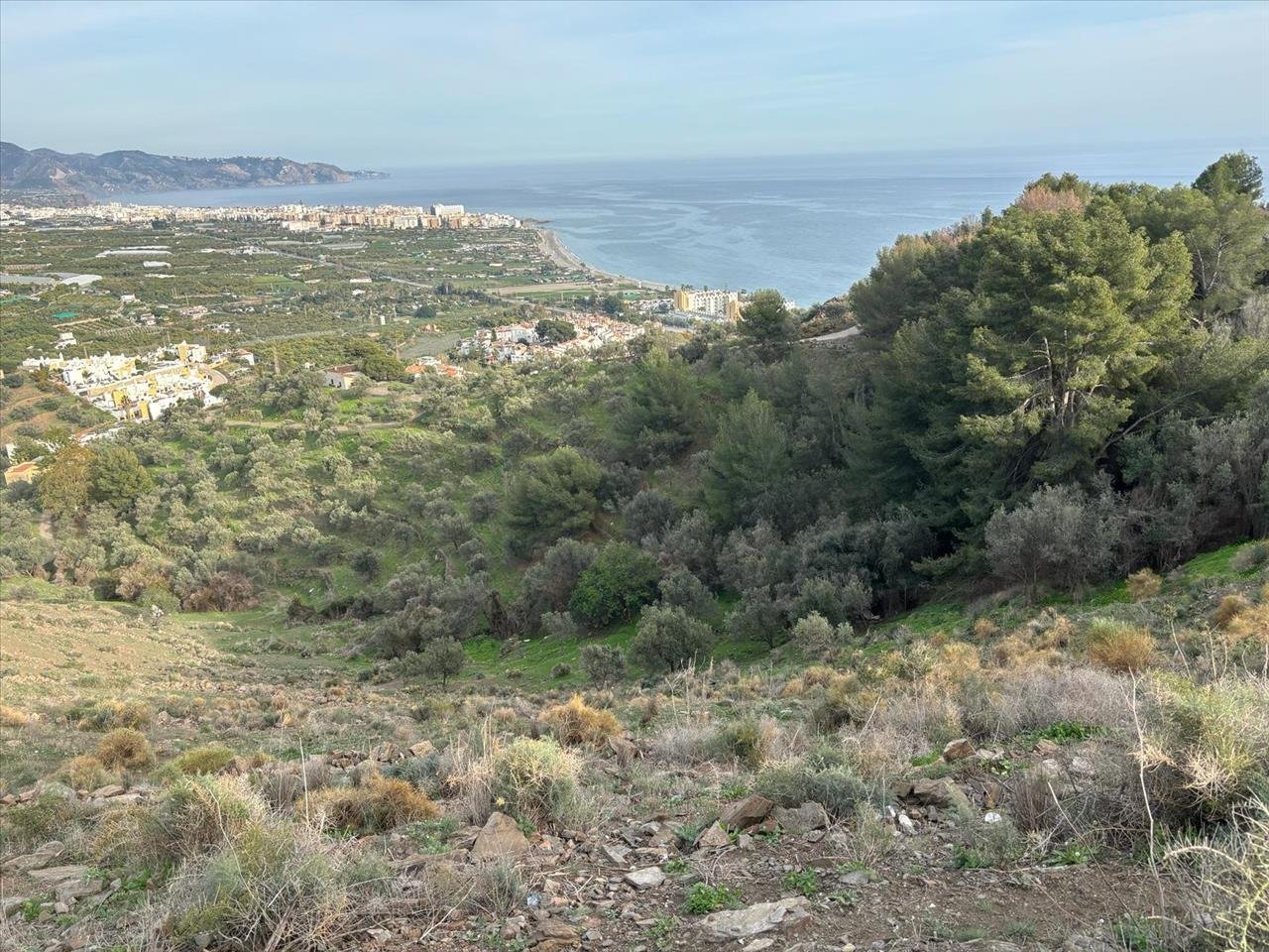TERRENO URBANIZABLE EN NERJA, MÁLAGA