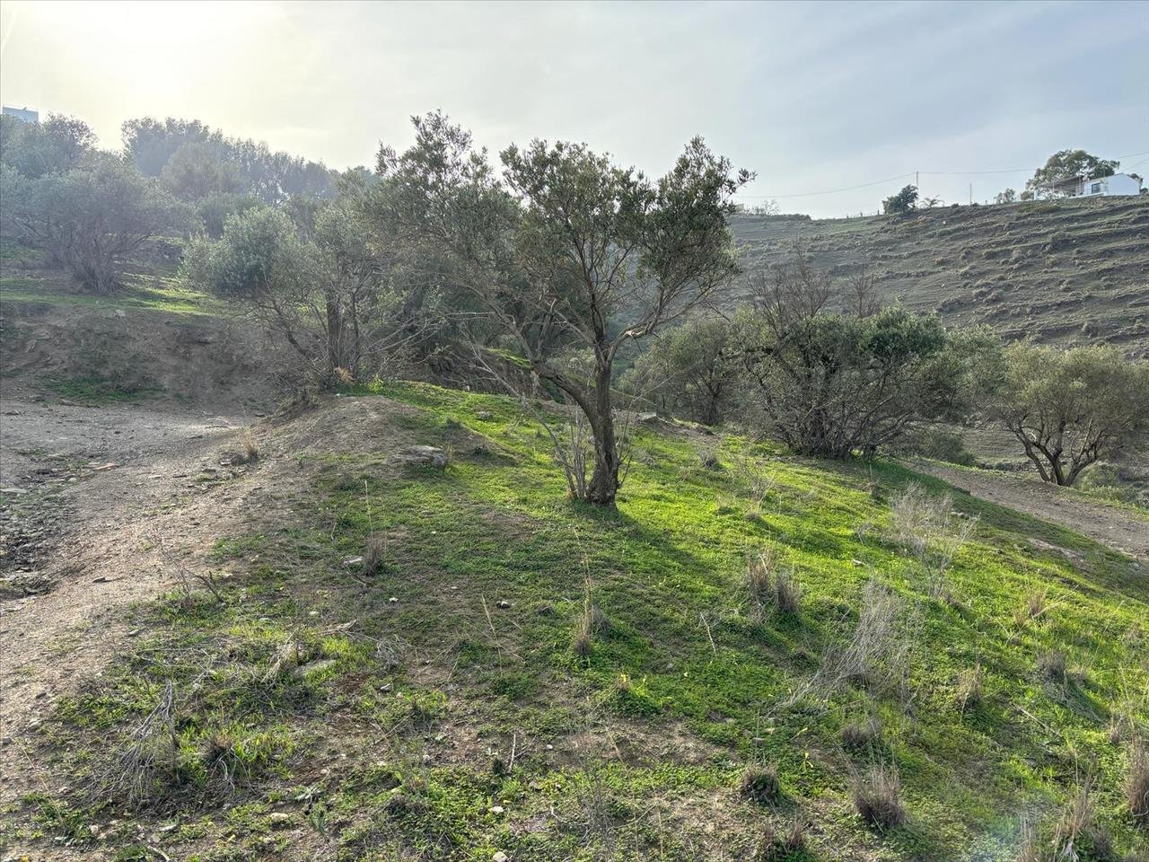 TERRENO URBANIZABLE EN NERJA, MÁLAGA
