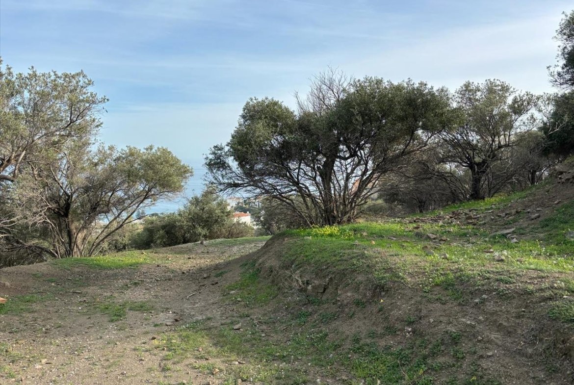 TERRENO URBANIZABLE EN NERJA, MÁLAGA