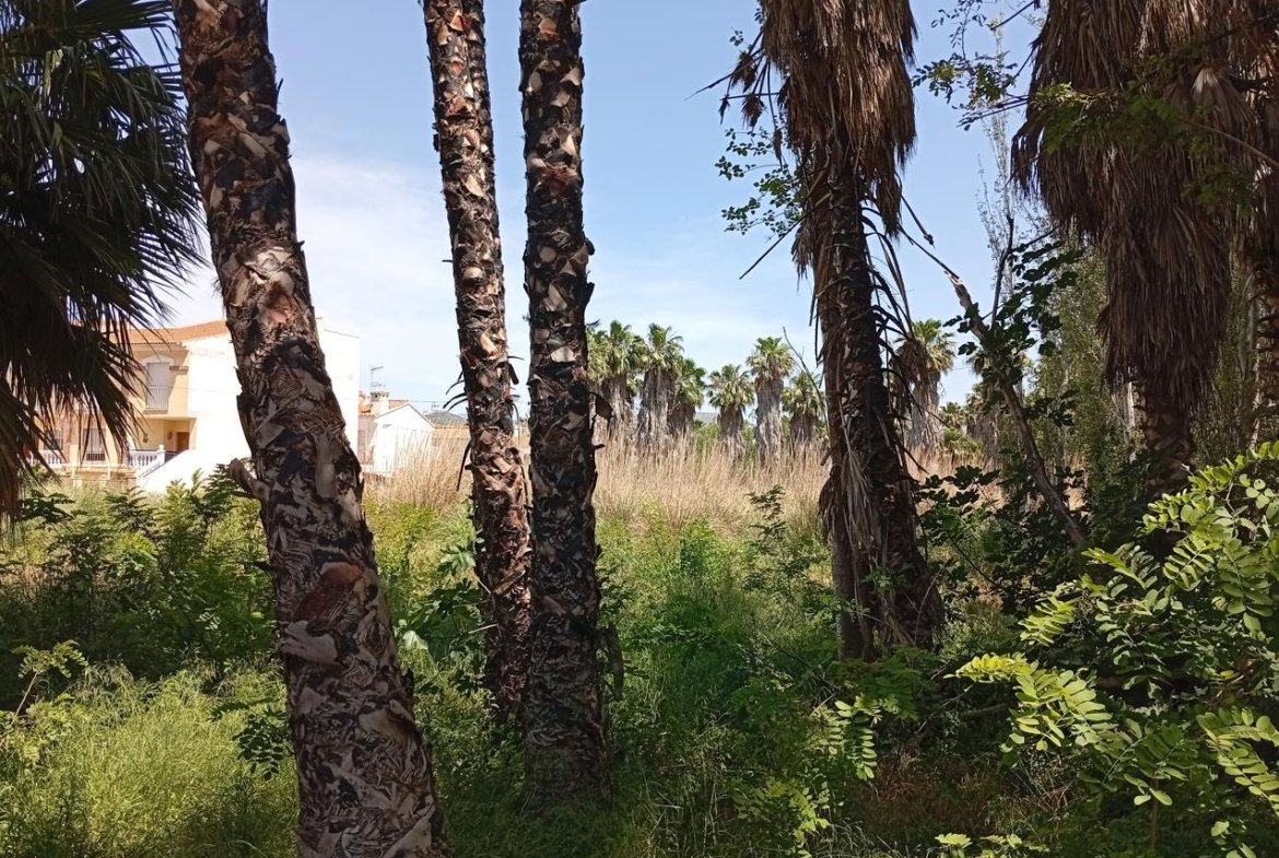 TERRENO CON OBRA EN MOTRIL, GRANADA