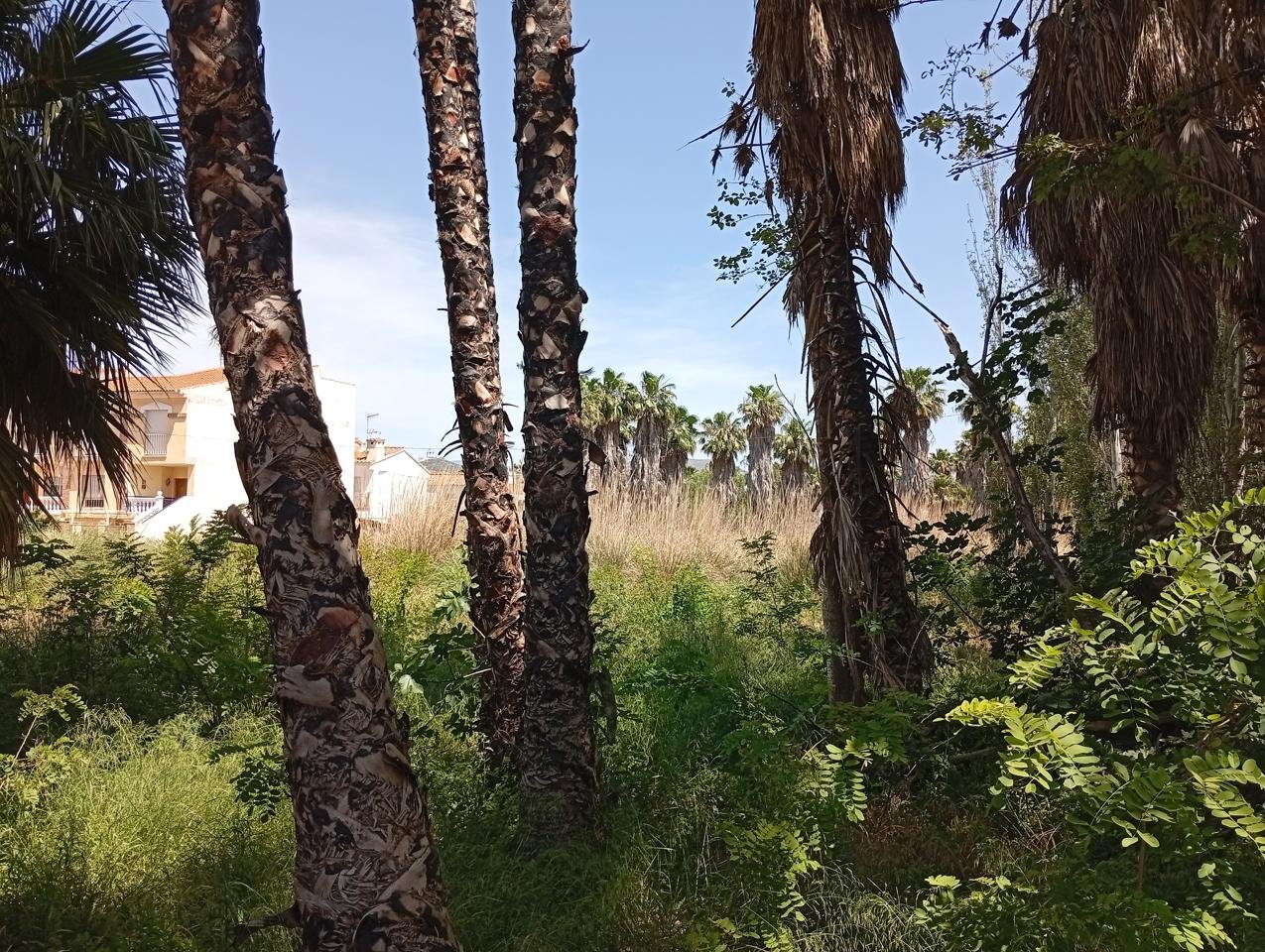 TERRENO CON OBRA EN MOTRIL, GRANADA