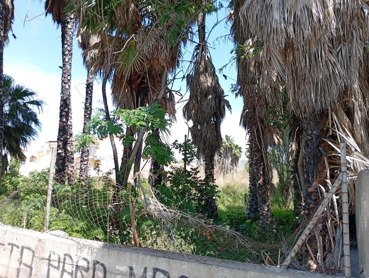 TERRENO CON OBRA EN MOTRIL, GRANADA