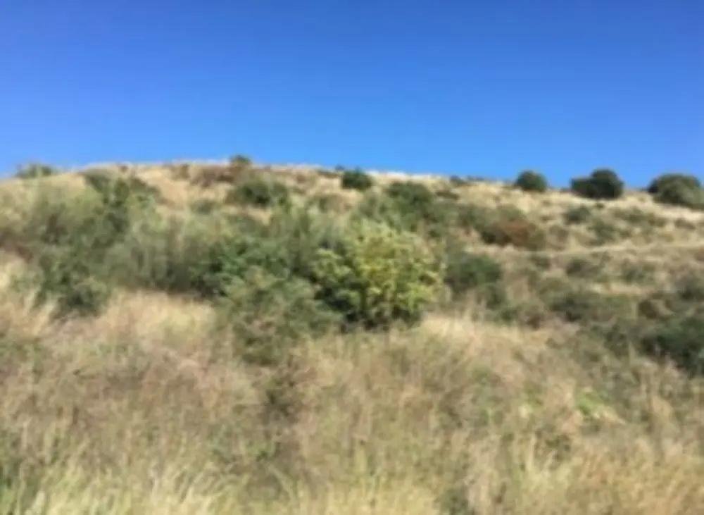 TERRENO URBANIZABLE EN MIJAS, MÁLAGA
