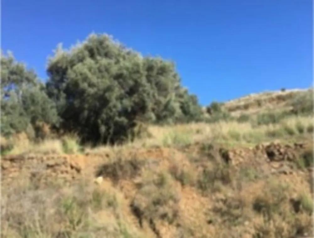 TERRENO URBANIZABLE EN MIJAS, MÁLAGA