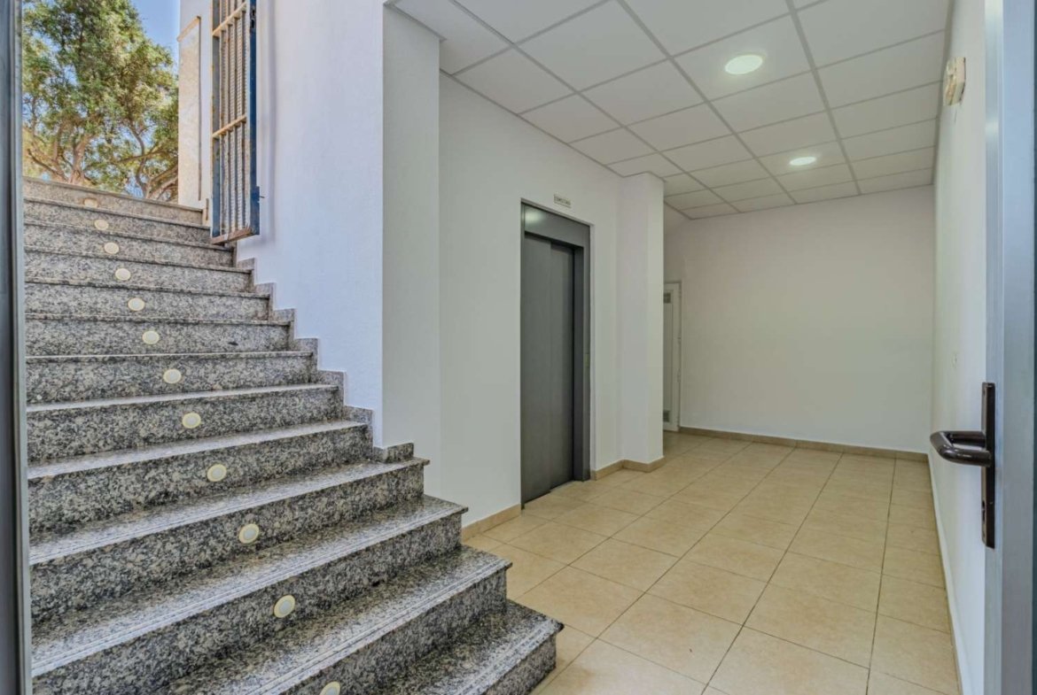 Local comercial en Torrevieja