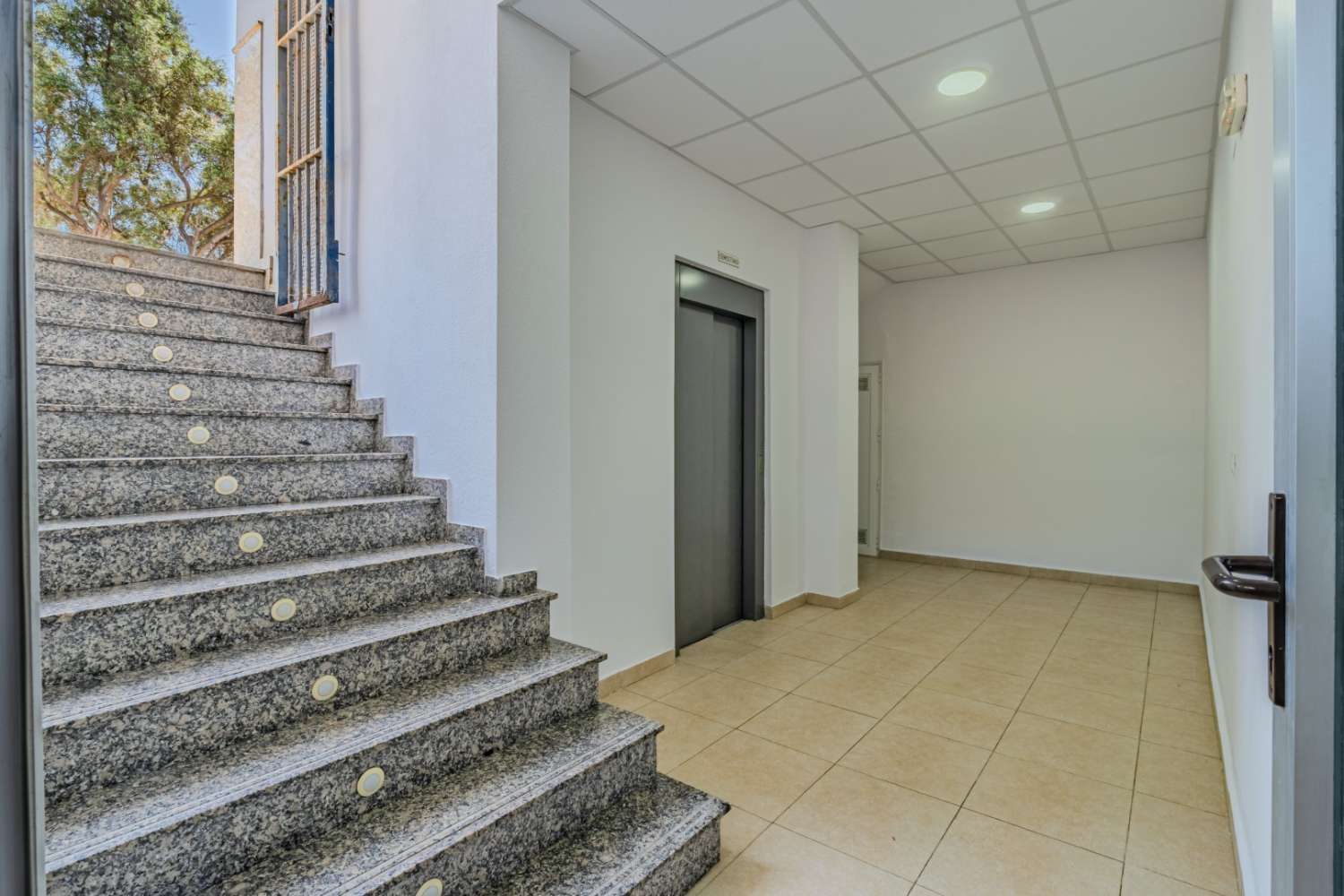 Local comercial en Torrevieja